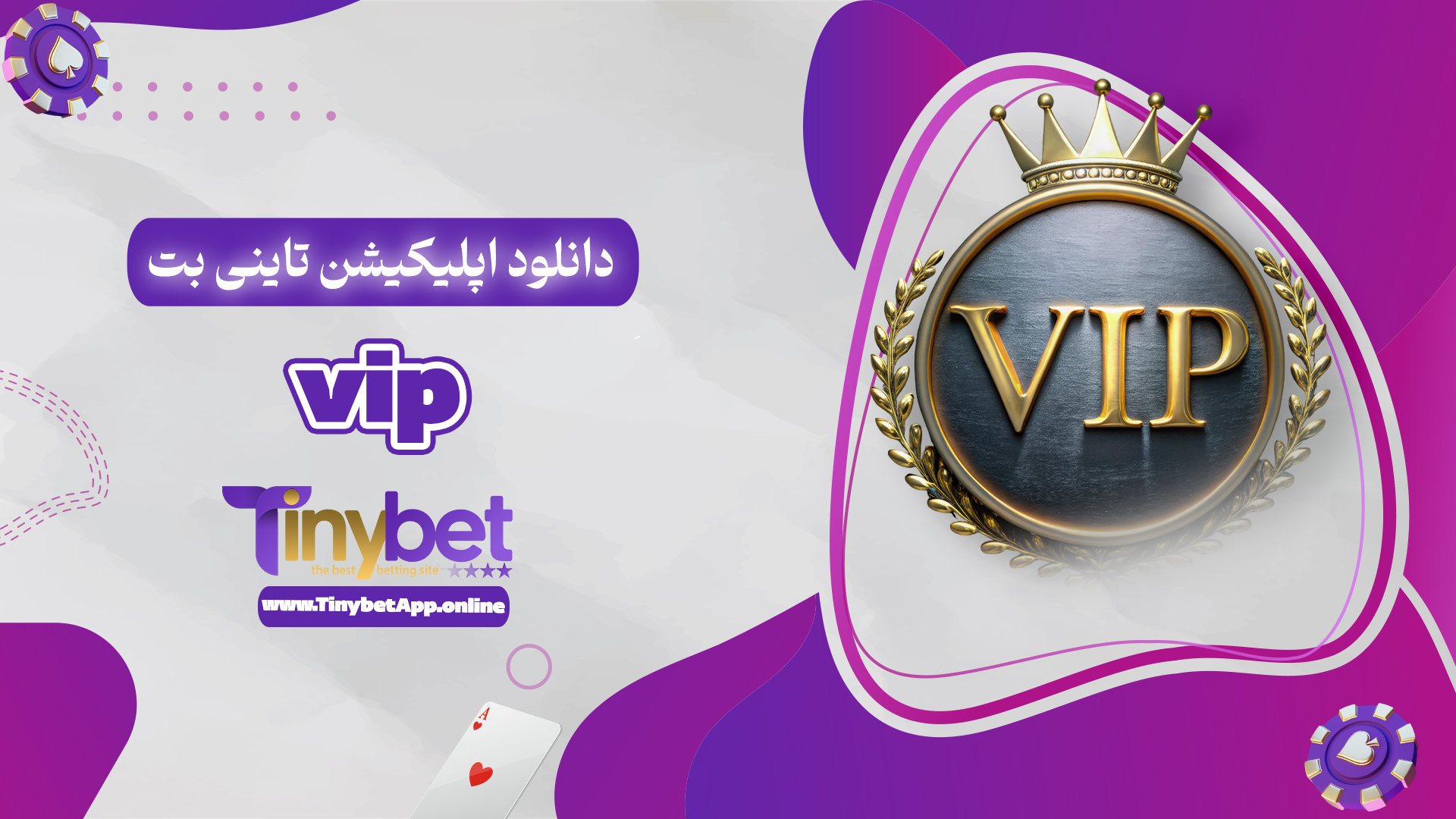 دانلود اپلیکیشن تاینی بت vip